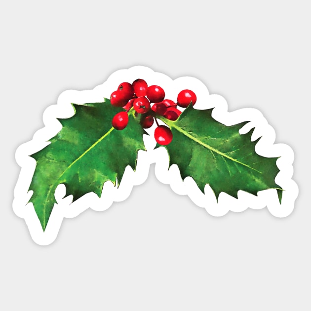 Christmas Holly Sticker by SusanSavad